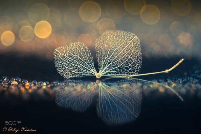 Mzling的个人主页（背景预览） - 主页背景设置 - 站酷设计师Mzling原创素材 - 站酷ZCOOL