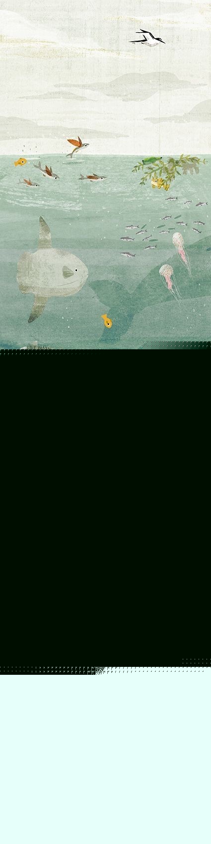 用户名0920的个人主页（背景预览） - 主页背景设置 - 站酷设计师用户名0920原创素材 - 站酷ZCOOL