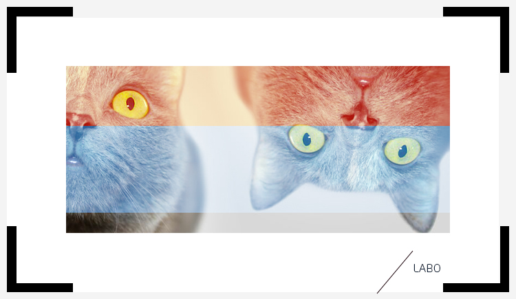 Monoi的個人主頁（背景預覽） - 主頁背景設置 - 站酷設計師Monoi原創(chuàng)素材 - 站酷ZCOOL