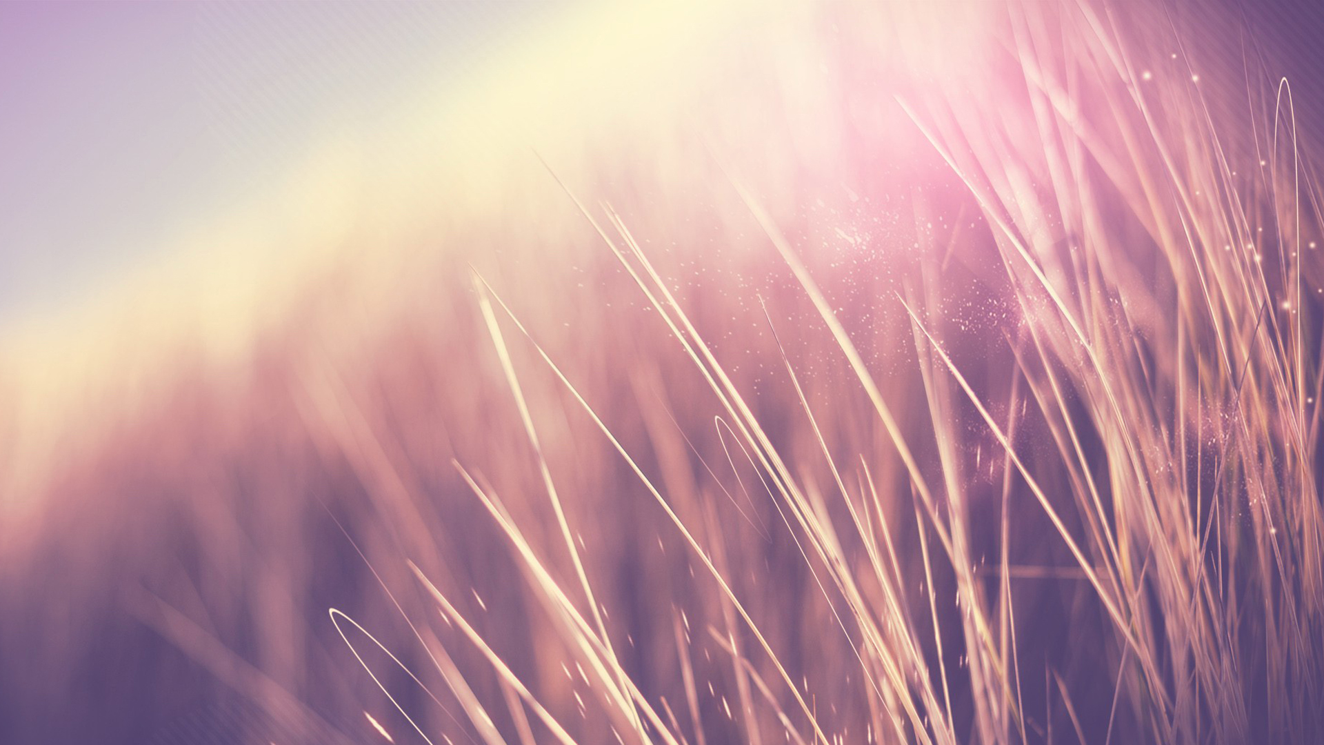 ilzeng的个人主页（背景预览） - 主页背景设置 - 站酷设计师ilzeng原创素材 - 站酷ZCOOL