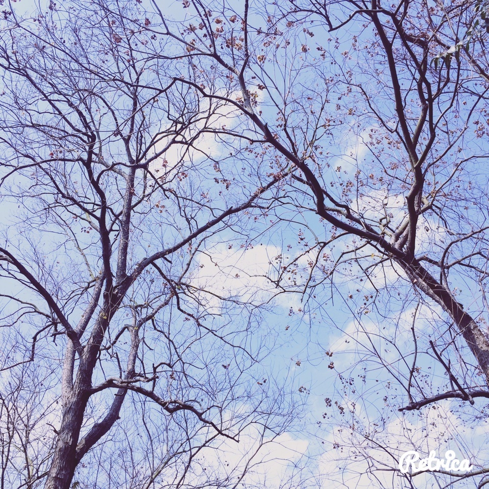 DAFAFOTO的个人主页（背景预览） - 主页背景设置 - 站酷设计师DAFAFOTO原创素材 - 站酷ZCOOL