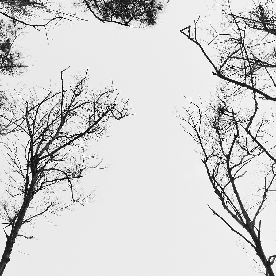 觀致設(shè)計(jì)的個(gè)人主頁（背景預(yù)覽） - 主頁背景設(shè)置 - 站酷設(shè)計(jì)師觀致設(shè)計(jì)原創(chuàng)素材 - 站酷ZCOOL