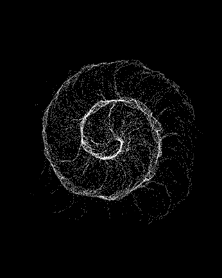 一粒豆崽子的个人主页（背景预览） - 主页背景设置 - 站酷设计师一粒豆崽子原创素材 - 站酷ZCOOL