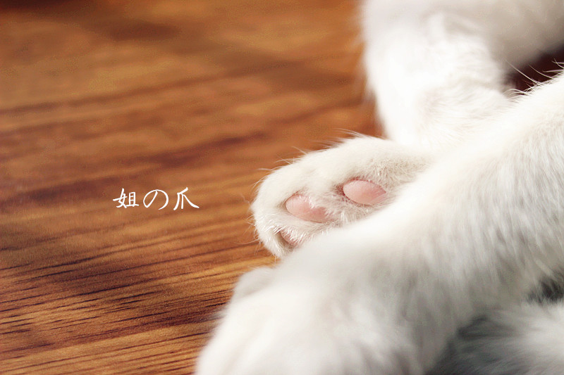 神笔玛娘的个人主页（背景预览） - 主页背景设置 - 站酷设计师神笔玛娘原创素材 - 站酷ZCOOL