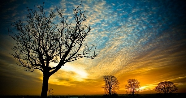 行走在理想的路上的個(gè)人主頁(yè)（背景預(yù)覽） - 主頁(yè)背景設(shè)置 - 站酷設(shè)計(jì)師行走在理想的路上原創(chuàng)素材 - 站酷ZCOOL