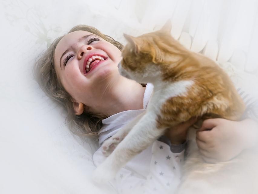 奇客的個人主頁（背景預覽） - 主頁背景設置 - 站酷設計師奇客原創(chuàng)素材 - 站酷ZCOOL