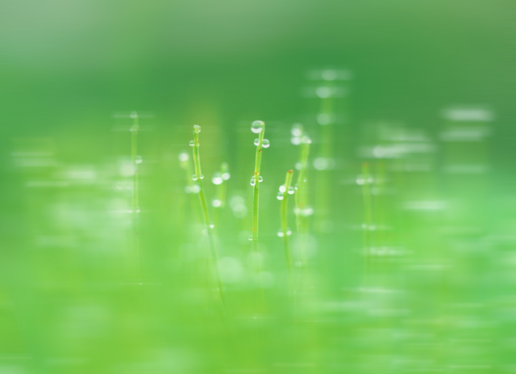 Little_bear的個(gè)人主頁（背景預(yù)覽） - 主頁背景設(shè)置 - 站酷設(shè)計(jì)師Little_bear原創(chuàng)素材 - 站酷ZCOOL