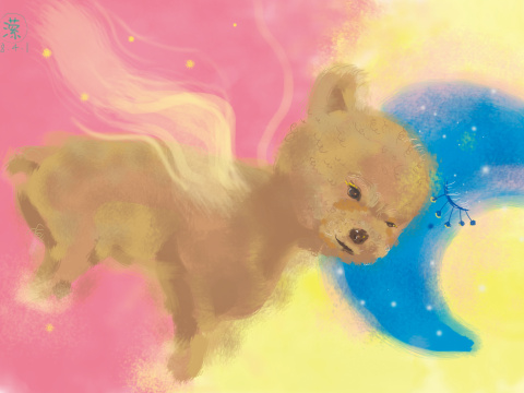 YING潆的个人主页（背景预览） - 主页背景设置 - 站酷设计师YING潆原创素材 - 站酷ZCOOL