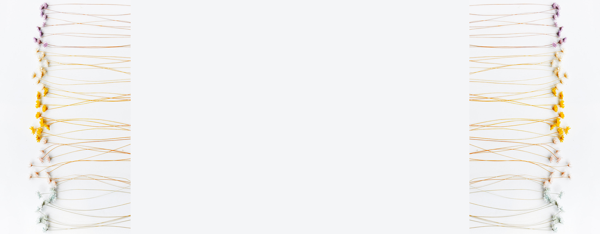 常安為樂的個人主頁（背景預覽） - 主頁背景設置 - 站酷設計師常安為樂原創(chuàng)素材 - 站酷ZCOOL