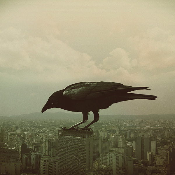 zhoumeng663的個人主頁（背景預(yù)覽） - 主頁背景設(shè)置 - 站酷設(shè)計(jì)師zhoumeng663原創(chuàng)素材 - 站酷ZCOOL