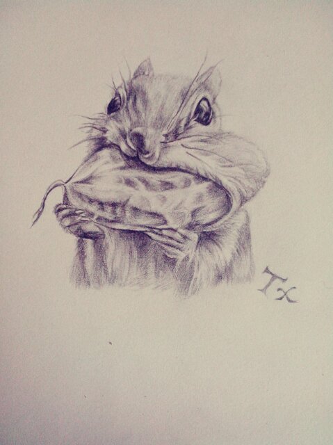 铁锤幺妹儿的个人主页（背景预览） - 主页背景设置 - 站酷设计师铁锤幺妹儿原创素材 - 站酷ZCOOL