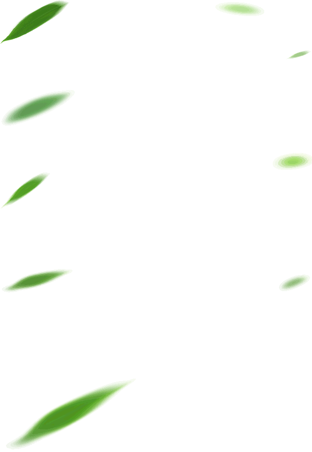 娜時(shí)花開(kāi)正好的個(gè)人主頁(yè)（背景預(yù)覽） - 主頁(yè)背景設(shè)置 - 站酷設(shè)計(jì)師娜時(shí)花開(kāi)正好原創(chuàng)素材 - 站酷ZCOOL