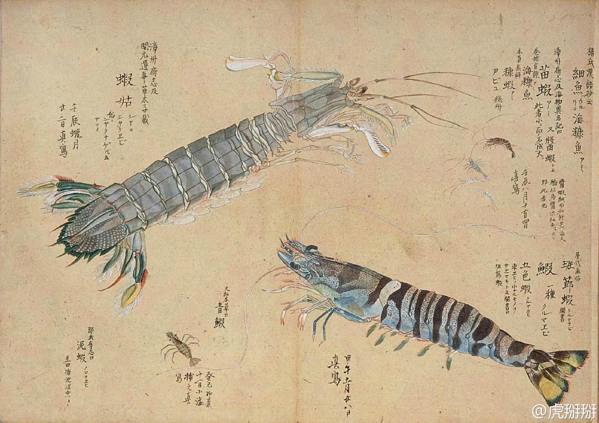 伏世清的個(gè)人主頁（背景預(yù)覽） - 主頁背景設(shè)置 - 站酷設(shè)計(jì)師伏世清原創(chuàng)素材 - 站酷ZCOOL