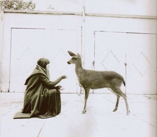 一只泡芙醬的個(gè)人主頁（背景預(yù)覽） - 主頁背景設(shè)置 - 站酷設(shè)計(jì)師一只泡芙醬原創(chuàng)素材 - 站酷ZCOOL