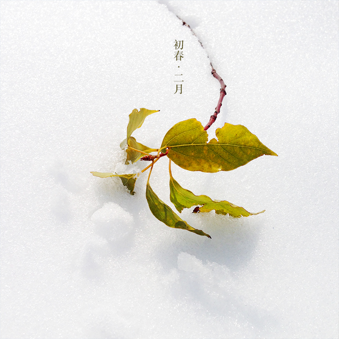 XUYAYA的个人主页（背景预览） - 主页背景设置 - 站酷设计师XUYAYA原创素材 - 站酷ZCOOL