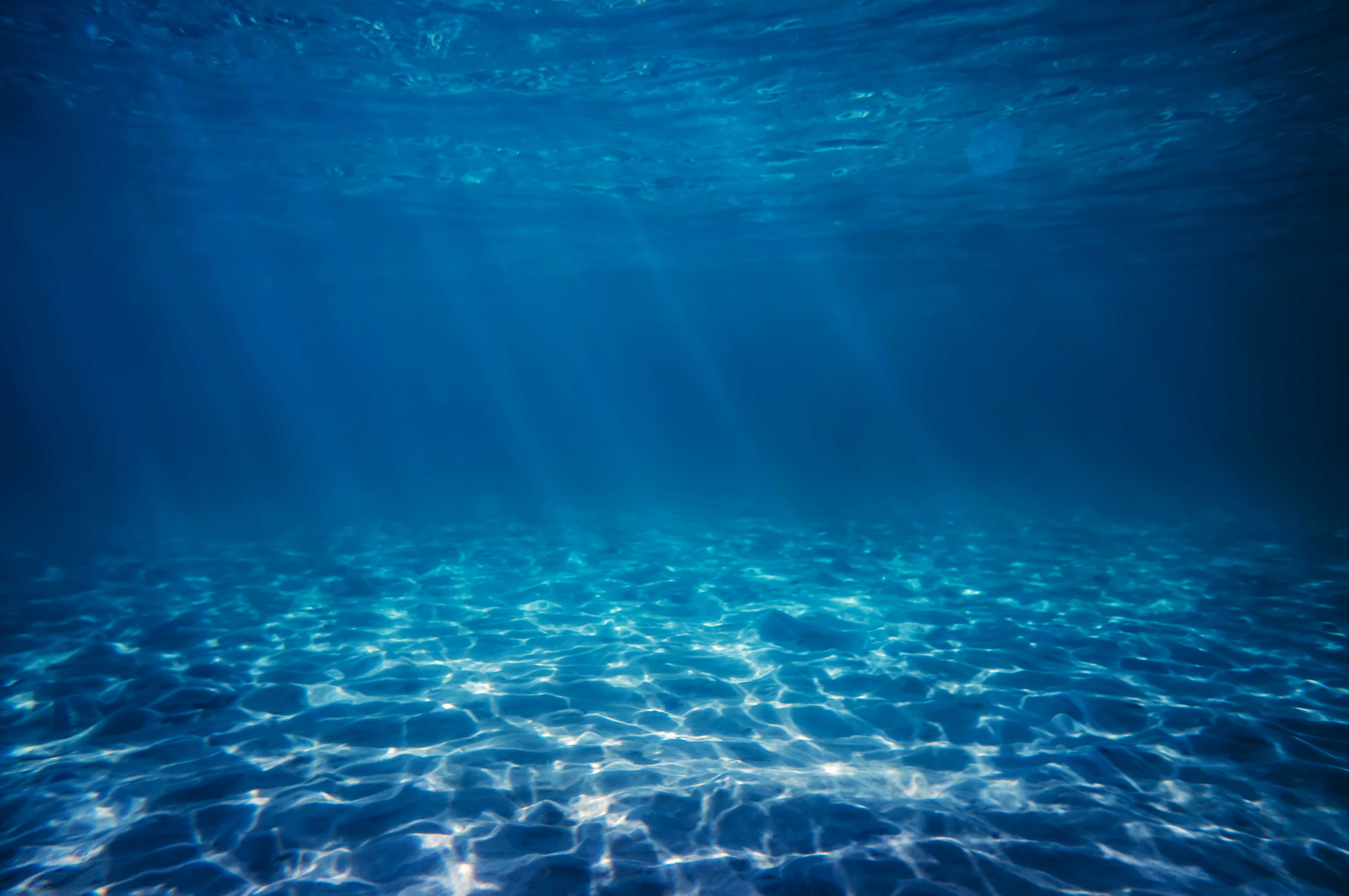 KUKU的小魷魚(yú)的個(gè)人主頁(yè)（背景預(yù)覽） - 主頁(yè)背景設(shè)置 - 站酷設(shè)計(jì)師KUKU的小魷魚(yú)原創(chuàng)素材 - 站酷ZCOOL