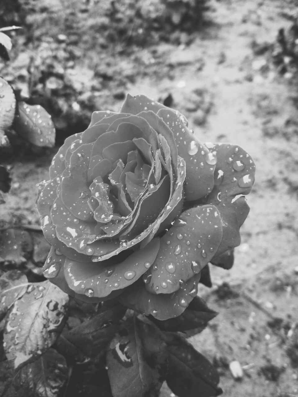 大青吖_的個人主頁（背景預(yù)覽） - 主頁背景設(shè)置 - 站酷設(shè)計師大青吖_原創(chuàng)素材 - 站酷ZCOOL