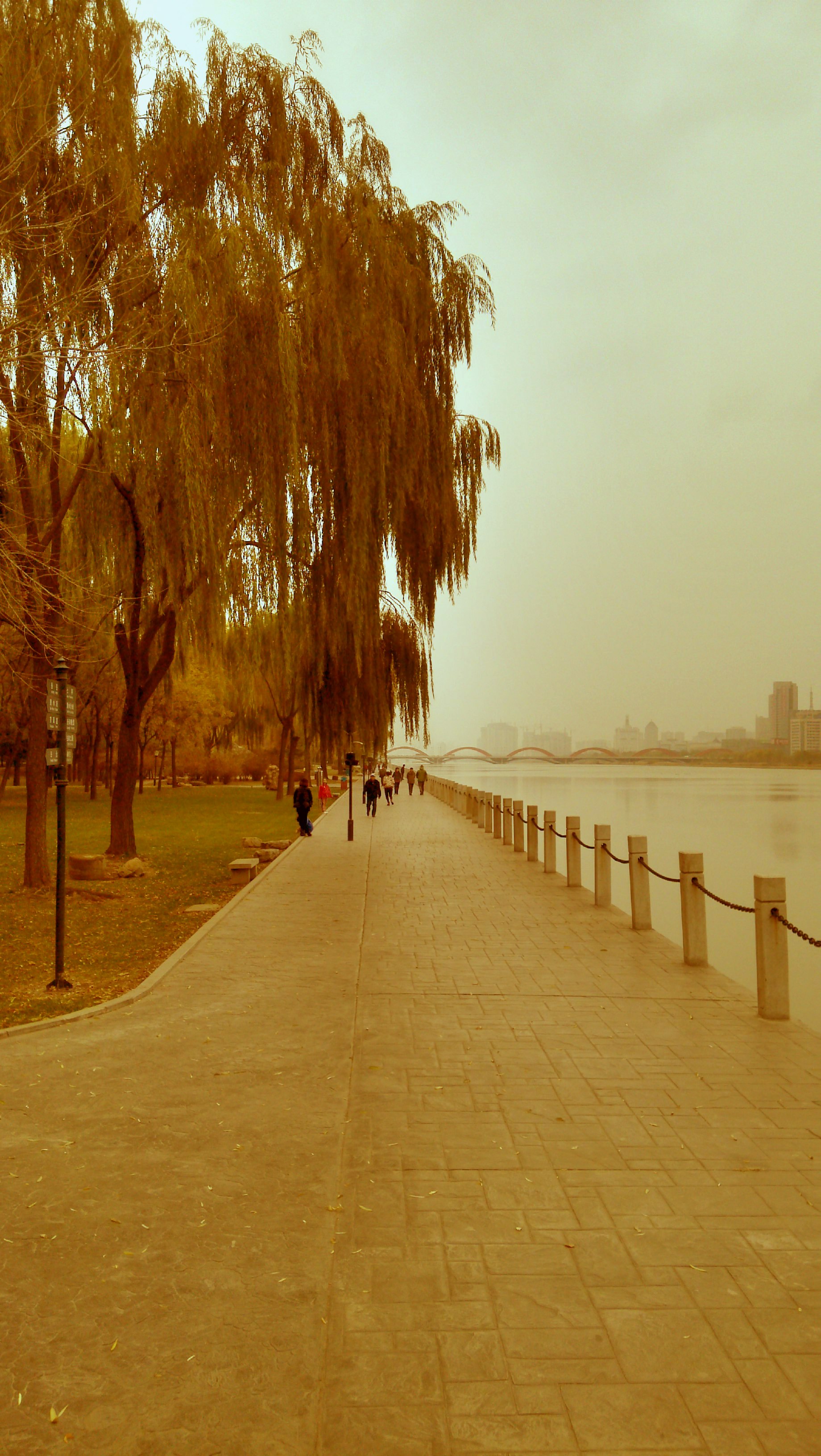 wpy282的個(gè)人主頁(yè)（背景預(yù)覽） - 主頁(yè)背景設(shè)置 - 站酷設(shè)計(jì)師wpy282原創(chuàng)素材 - 站酷ZCOOL