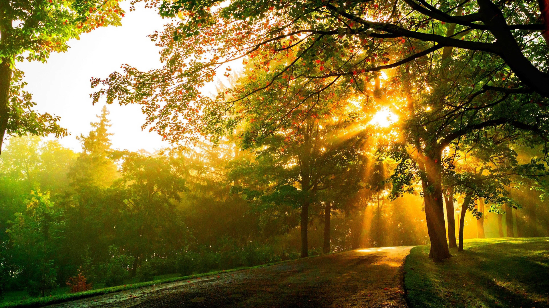 第九天堂丶的個(gè)人主頁(yè)（背景預(yù)覽） - 主頁(yè)背景設(shè)置 - 站酷設(shè)計(jì)師第九天堂丶原創(chuàng)素材 - 站酷ZCOOL