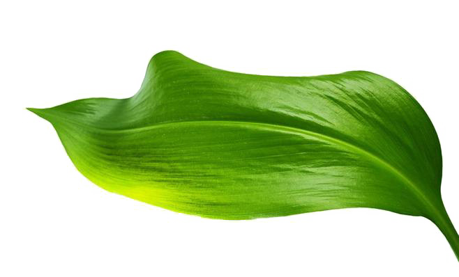 方便面的面的个人主页（背景预览） - 主页背景设置 - 站酷设计师方便面的面原创素材 - 站酷ZCOOL