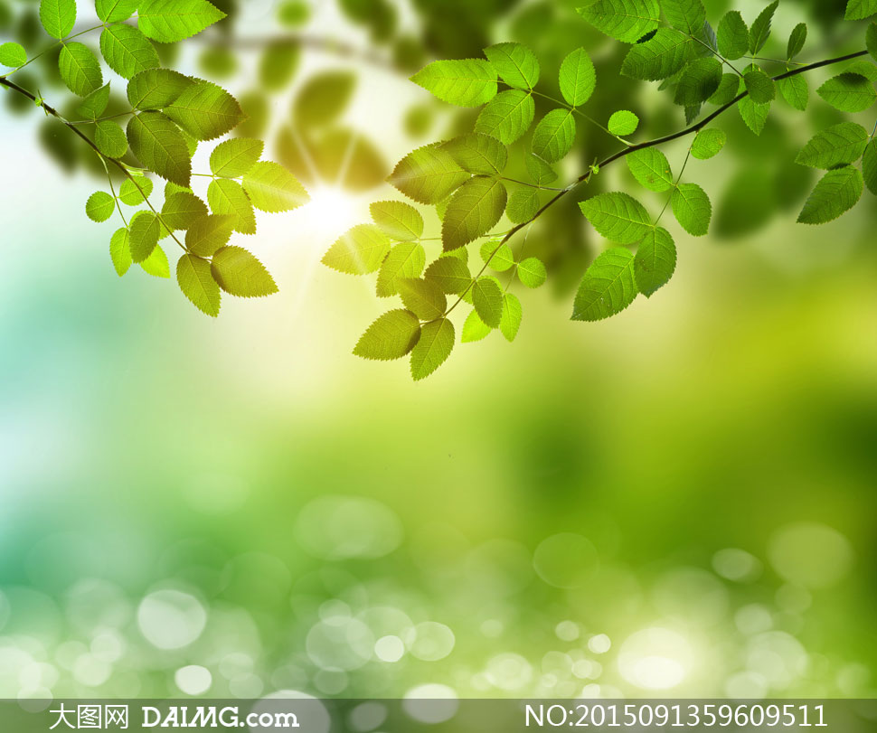 myfirebug的个人主页（背景预览） - 主页背景设置 - 站酷设计师myfirebug原创素材 - 站酷ZCOOL