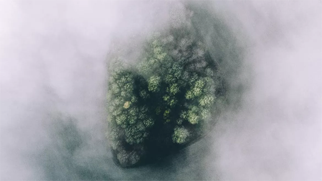 是免不是兔啊的个人主页（背景预览） - 主页背景设置 - 站酷设计师是免不是兔啊原创素材 - 站酷ZCOOL