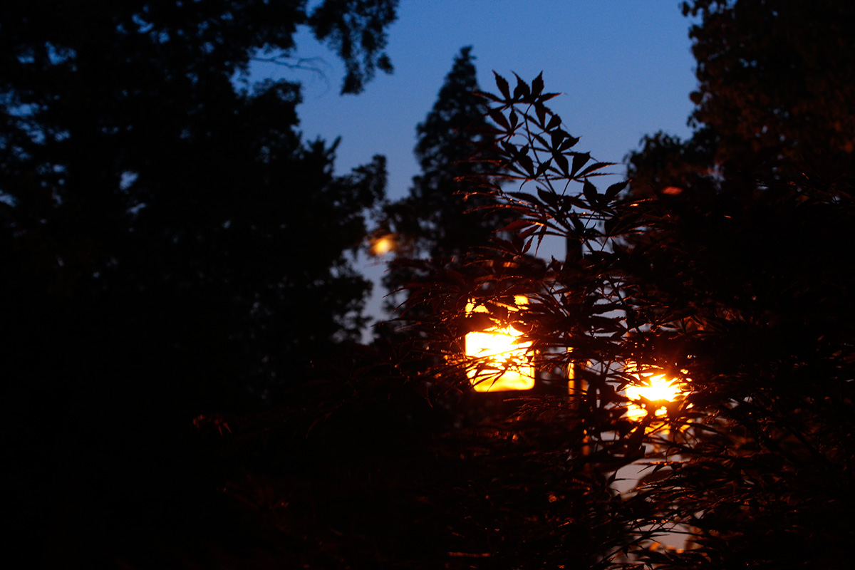 隔壁大圣的個(gè)人主頁（背景預(yù)覽） - 主頁背景設(shè)置 - 站酷設(shè)計(jì)師隔壁大圣原創(chuàng)素材 - 站酷ZCOOL