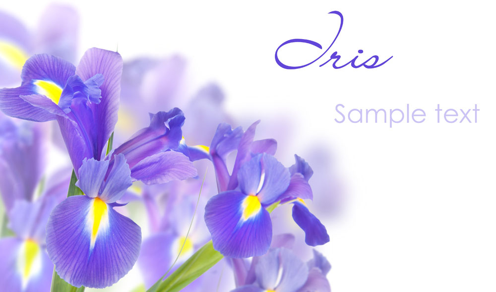 岸芷蘭的個(gè)人主頁（背景預(yù)覽） - 主頁背景設(shè)置 - 站酷設(shè)計(jì)師岸芷蘭原創(chuàng)素材 - 站酷ZCOOL