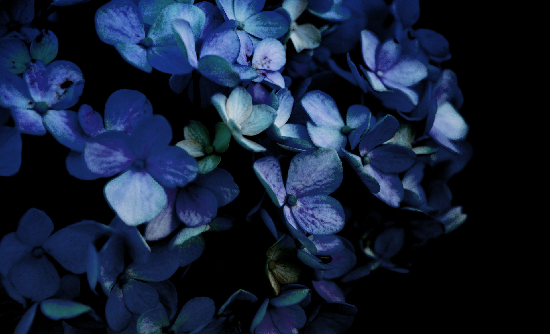 刘宜龙的个人主页（背景预览） - 主页背景设置 - 站酷设计师刘宜龙原创素材 - 站酷ZCOOL