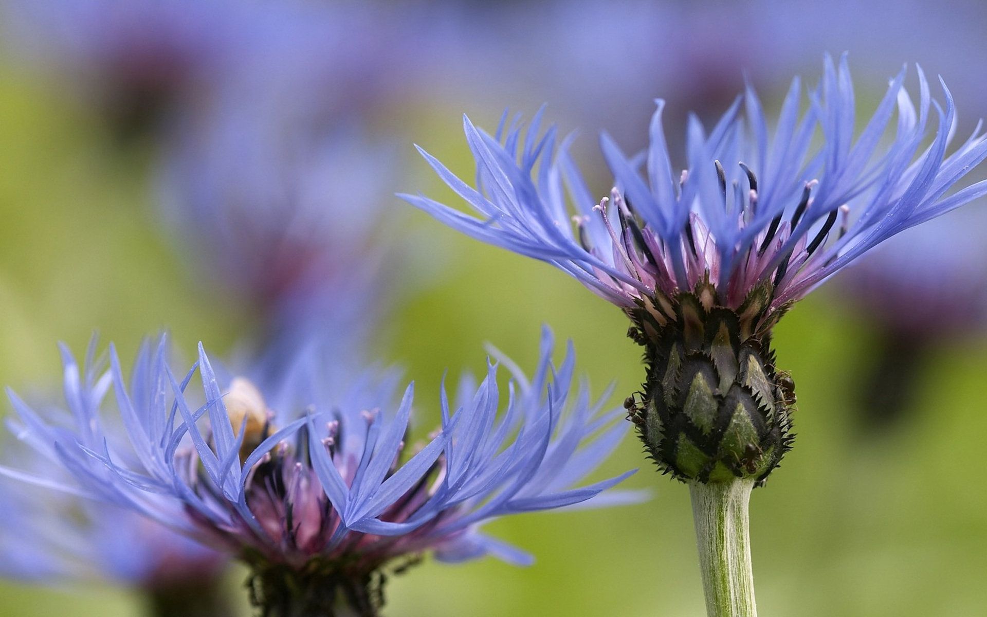 hermity的个人主页（背景预览） - 主页背景设置 - 站酷设计师hermity原创素材 - 站酷ZCOOL