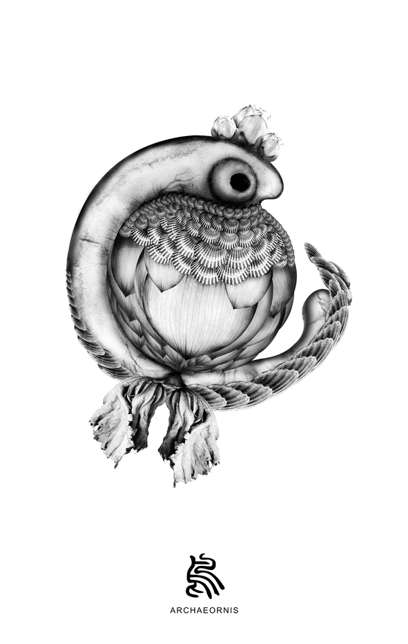 FishoOO的个人主页（背景预览） - 主页背景设置 - 站酷设计师FishoOO原创素材 - 站酷ZCOOL