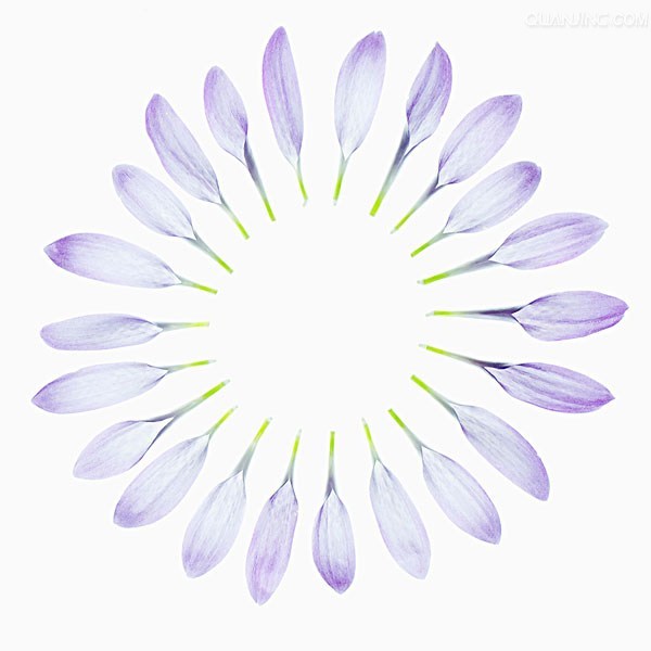 rabbit1019的个人主页（背景预览） - 主页背景设置 - 站酷设计师rabbit1019原创素材 - 站酷ZCOOL