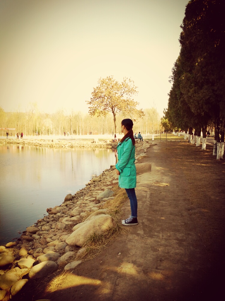 L丫m的個(gè)人主頁(yè)（背景預(yù)覽） - 主頁(yè)背景設(shè)置 - 站酷設(shè)計(jì)師L丫m原創(chuàng)素材 - 站酷ZCOOL