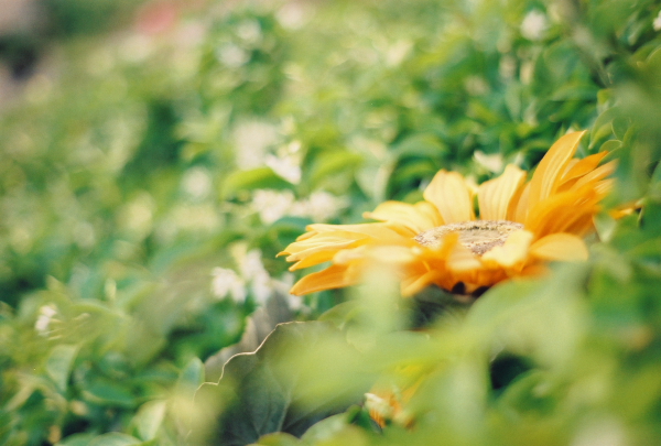 joi110520的个人主页（背景预览） - 主页背景设置 - 站酷设计师joi110520原创素材 - 站酷ZCOOL