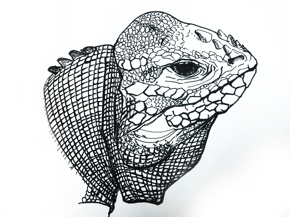 FY品牌的个人主页（背景预览） - 主页背景设置 - 站酷设计师FY品牌原创素材 - 站酷ZCOOL