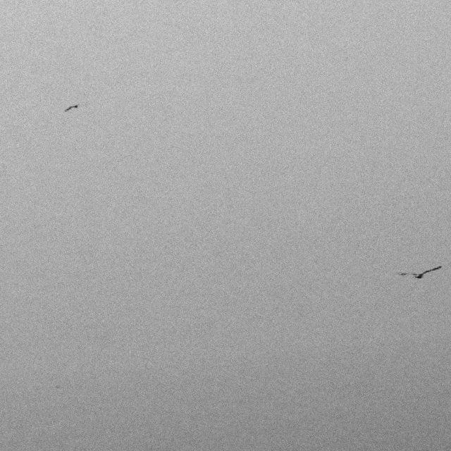 戎小岛的个人主页（背景预览） - 主页背景设置 - 站酷设计师戎小岛原创素材 - 站酷ZCOOL