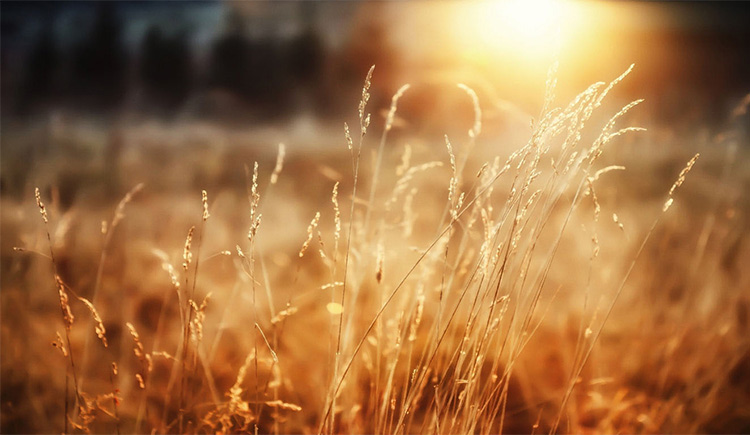 大晟DaSheng的个人主页（背景预览） - 主页背景设置 - 站酷设计师大晟DaSheng原创素材 - 站酷ZCOOL