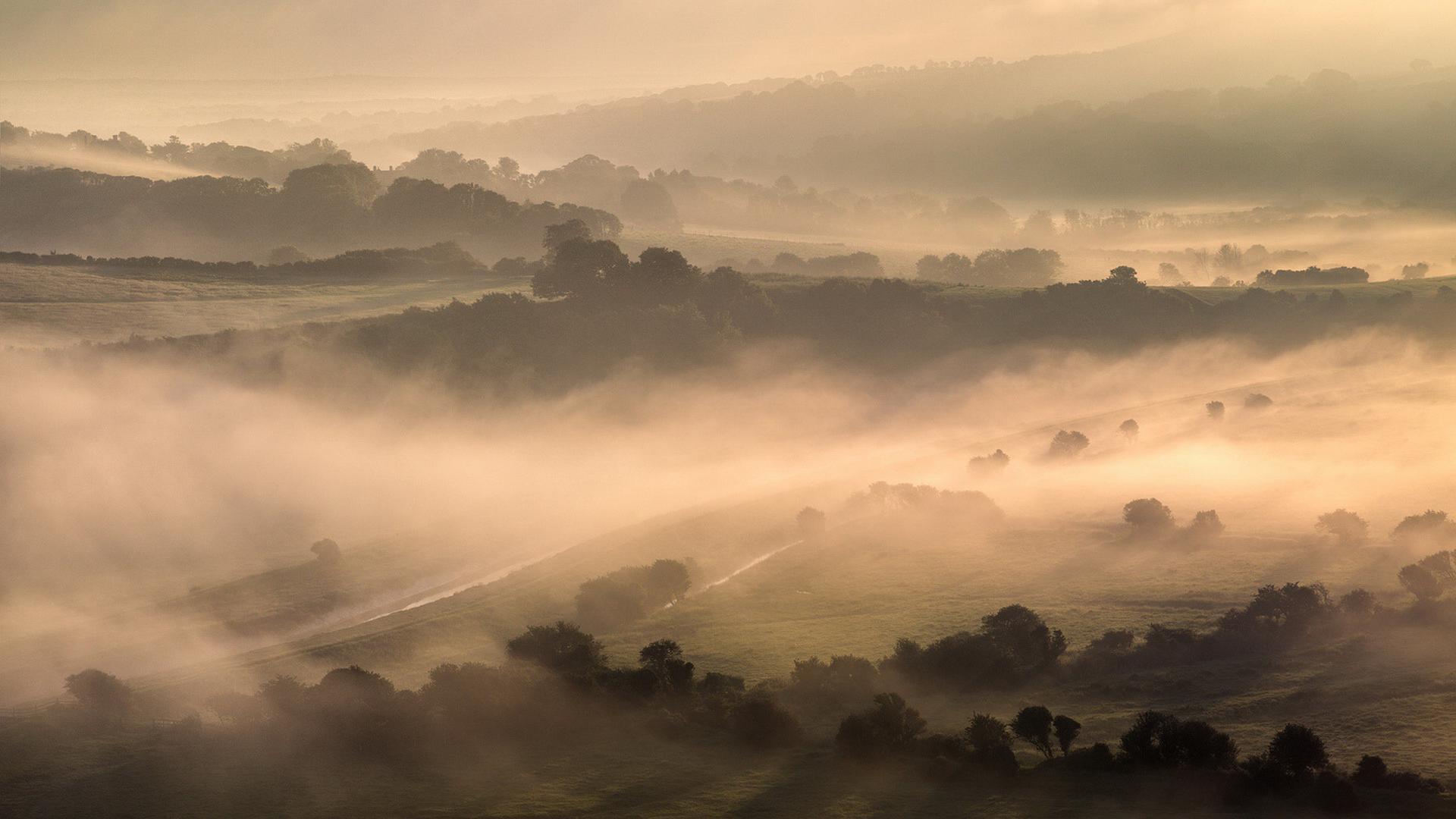 天清如愿的個人主頁（背景預(yù)覽） - 主頁背景設(shè)置 - 站酷設(shè)計師天清如愿原創(chuàng)素材 - 站酷ZCOOL