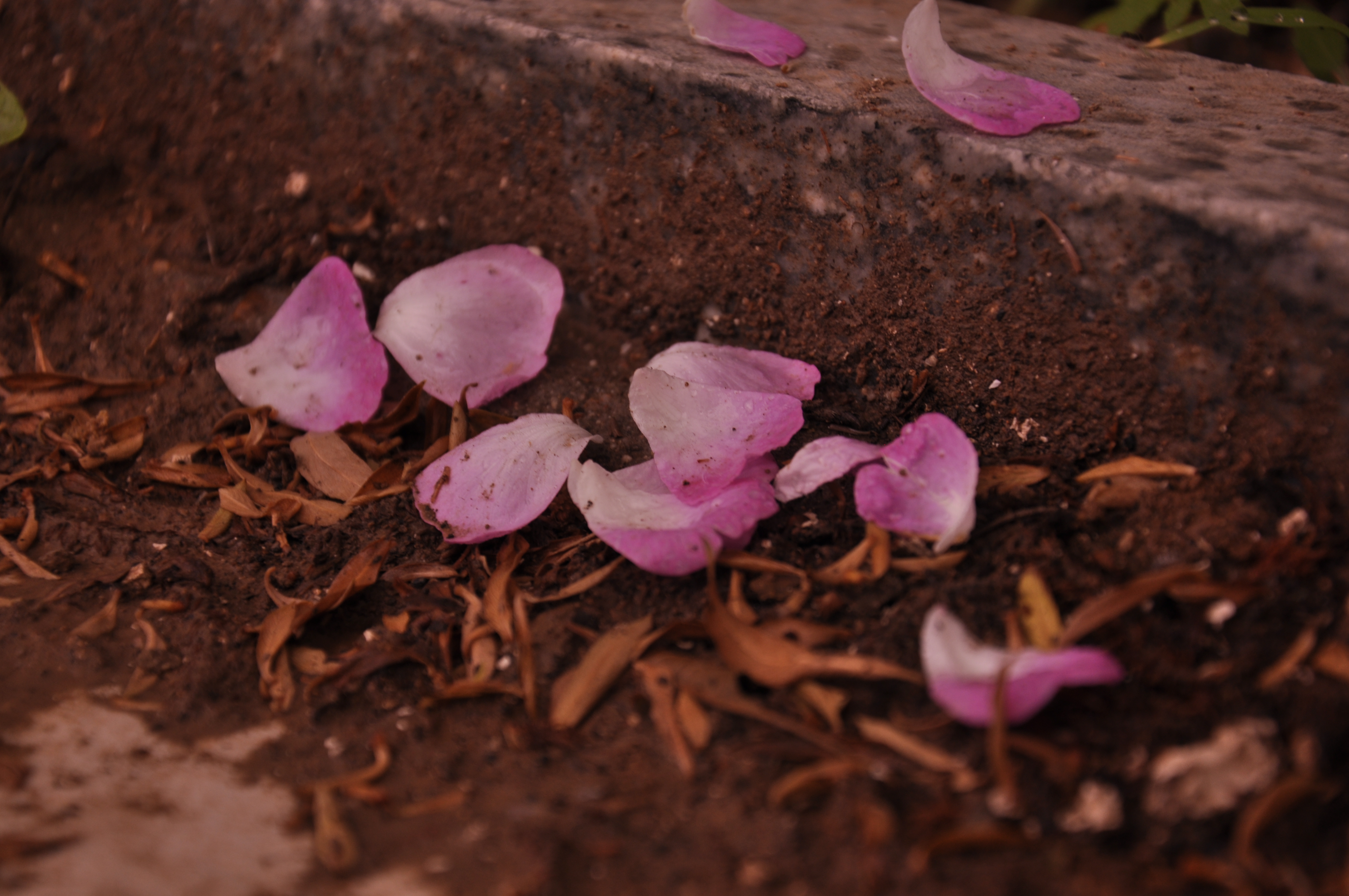 丹朱青崖的个人主页（背景预览） - 主页背景设置 - 站酷设计师丹朱青崖原创素材 - 站酷ZCOOL