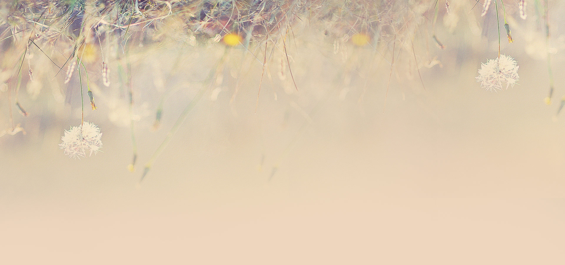 crystalr的個人主頁（背景預(yù)覽） - 主頁背景設(shè)置 - 站酷設(shè)計師crystalr原創(chuàng)素材 - 站酷ZCOOL