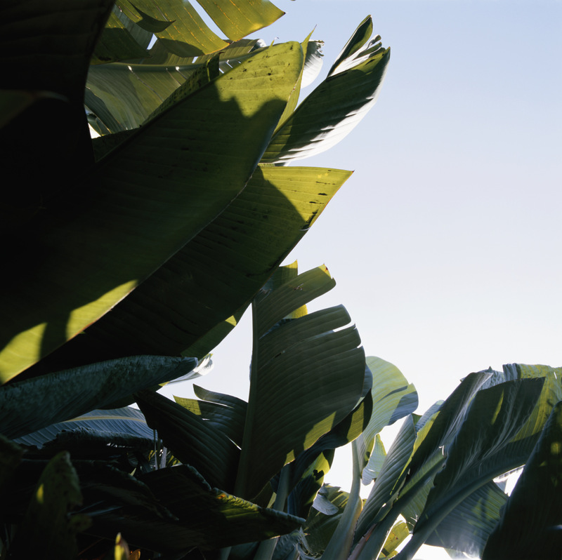 Frank小哥的个人主页（背景预览） - 主页背景设置 - 站酷设计师Frank小哥原创素材 - 站酷ZCOOL