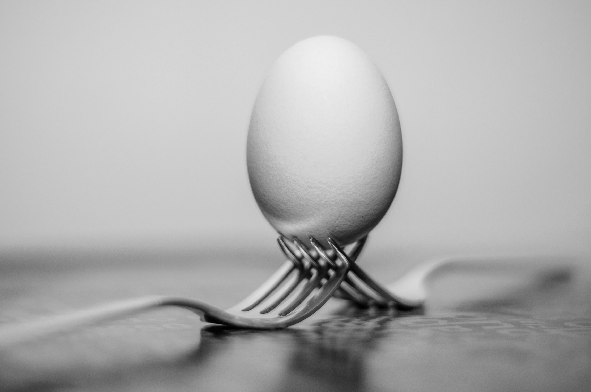 家乐福海盗呀的个人主页（背景预览） - 主页背景设置 - 站酷设计师家乐福海盗呀原创素材 - 站酷ZCOOL