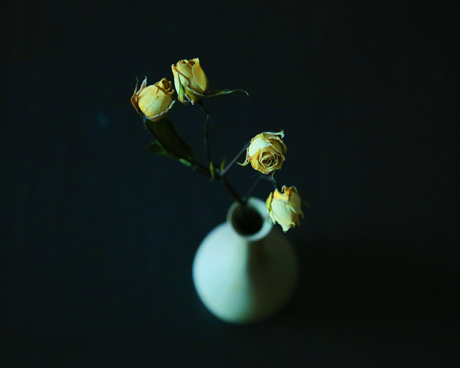 張雷09170529的個(gè)人主頁（背景預(yù)覽） - 主頁背景設(shè)置 - 站酷設(shè)計(jì)師張雷09170529原創(chuàng)素材 - 站酷ZCOOL