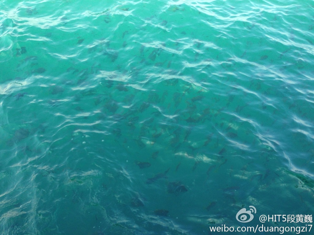 gongyingchao的個人主頁（背景預(yù)覽） - 主頁背景設(shè)置 - 站酷設(shè)計師gongyingchao原創(chuàng)素材 - 站酷ZCOOL