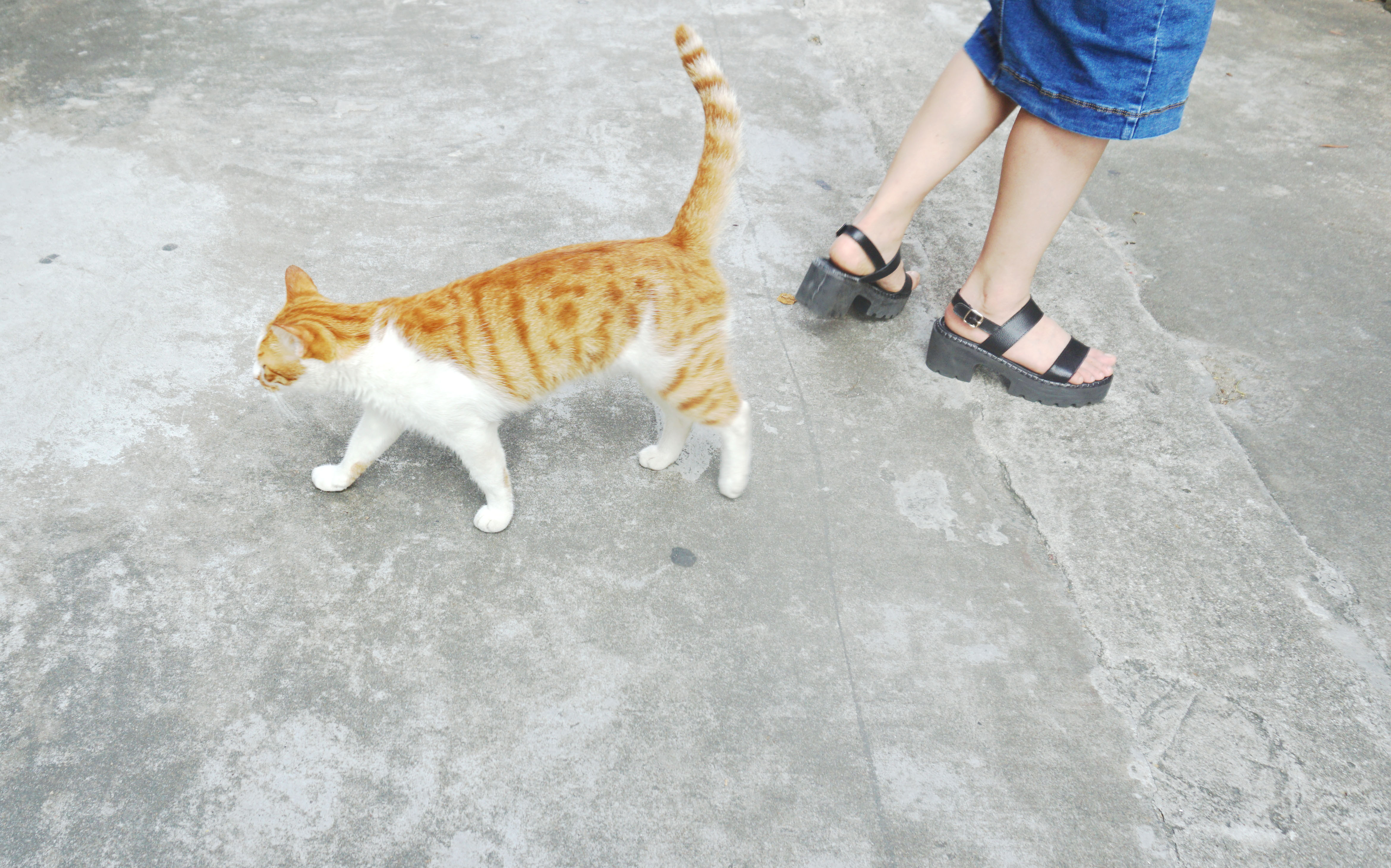 eddybaby的個人主頁（背景預覽） - 主頁背景設置 - 站酷設計師eddybaby原創(chuàng)素材 - 站酷ZCOOL