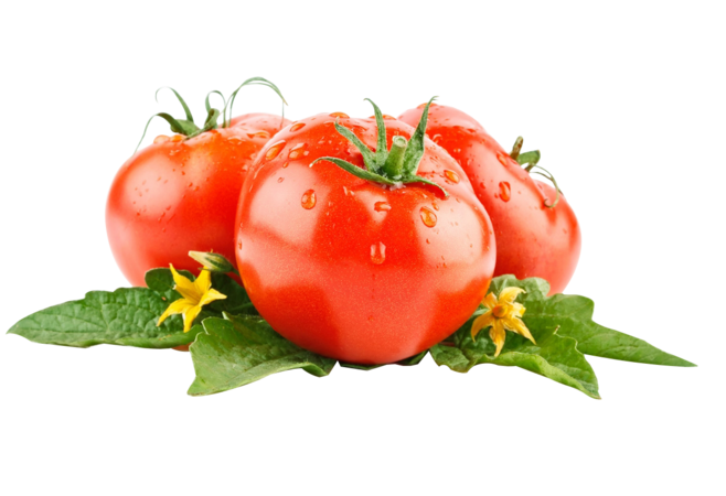 璐璐學(xué)習(xí)的個(gè)人主頁(yè)（背景預(yù)覽） - 主頁(yè)背景設(shè)置 - 站酷設(shè)計(jì)師璐璐學(xué)習(xí)原創(chuàng)素材 - 站酷ZCOOL