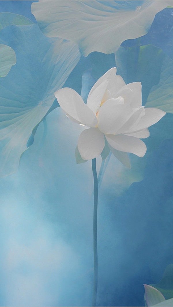 bxax的個人主頁（背景預(yù)覽） - 主頁背景設(shè)置 - 站酷設(shè)計(jì)師bxax原創(chuàng)素材 - 站酷ZCOOL