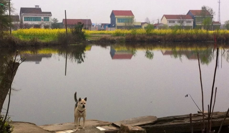 肥肥版的六月蟲蟲的個人主頁（背景預覽） - 主頁背景設置 - 站酷設計師肥肥版的六月蟲蟲原創(chuàng)素材 - 站酷ZCOOL