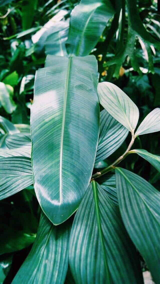 chennnyi的个人主页（背景预览） - 主页背景设置 - 站酷设计师chennnyi原创素材 - 站酷ZCOOL