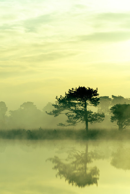 穗糖的个人主页（背景预览） - 主页背景设置 - 站酷设计师穗糖原创素材 - 站酷ZCOOL